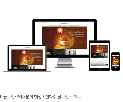 글로벌서비스 분야 대상 설화수 글로벌 사이트