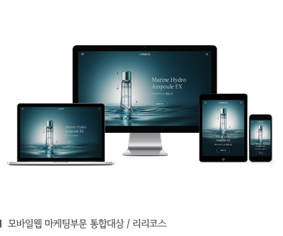모바일웹 마케팅부문 통합대상 리리코스